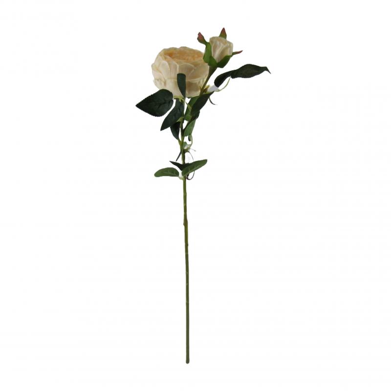 Róża 70cm kremowa <br>(12 sztuk)